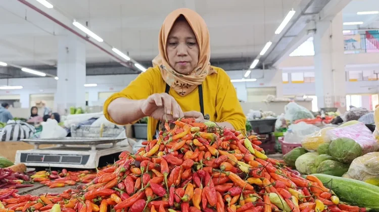 Harga Cabai Rawit di Ponorogo Naik, Tembus Rp70 Ribu
