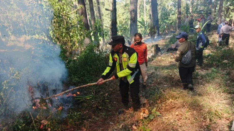 Titik Api Muncul di Sarangan, Polisi dan Perhutani Perketat Pengawasan Hutan
