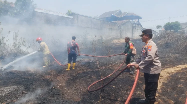 Kebakaran di Mojopurno Madiun, 10 Hektare Lahan Dilalap Api