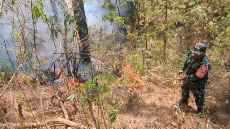 Petak 50A1 Lereng Lawu Terbakar, Petugas Buat Ilaran Cegah Api Merembet