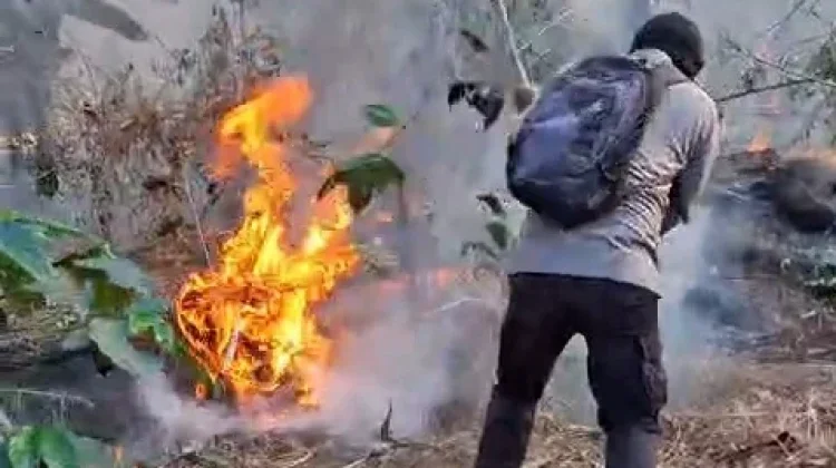 Kebakaran Hutan Lawu Meluas ke Ngawi, Luas Area Terbakar Capai 5 Hektare