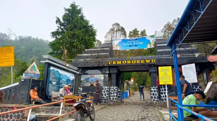 Kebakaran Gunung Lawu Meluas, Perhutani Tutup Jalur Pendakian Cemoro Sewu