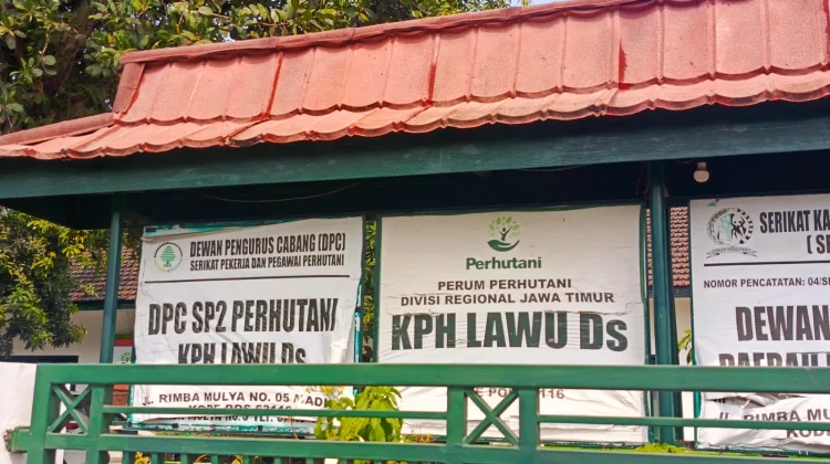 Fokus Pemadaman, Perhutani Lawu DS Tutup Sementara Pendakian via Cemoro Sewu