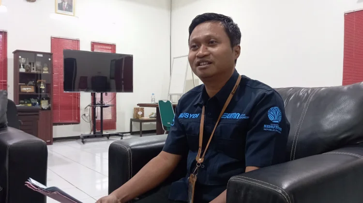 Pendapatan Perhutani KPH Madiun Mencapai Rp50 Miliar, Produksi Kayu Tembus Eropa
