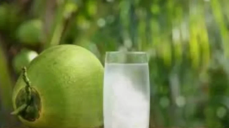 Benarkah Air Kelapa Bisa Menurunkan Tekanan Darah?