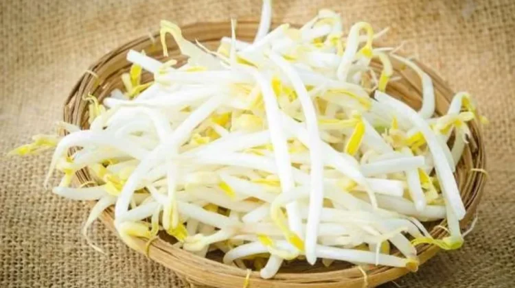 Manfaat Tauge untuk Kesehatan Tubuh
