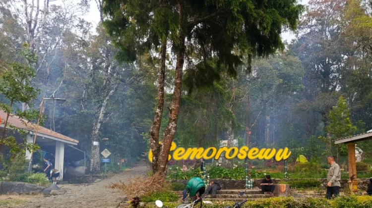 Seluruh Jalur Pendakian Gunung Lawu Ditutup hingga Waktu yang Belum Ditentukan