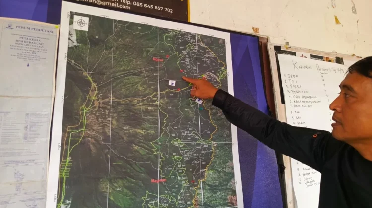 Perhutani Sebut Kebakaran Hutan Lawu di Magetan Telah Capai 17 Hektare