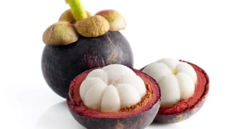 Manfaat Buah Manggis Tuk Kesehatan: Si "Ratu Buah" yang Kaya Khasiat