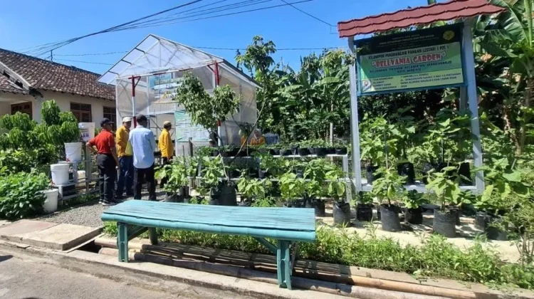 P2L Kota Madiun Dorong Hasil Pekarangan Jadi Sumber Ekonomi Warga