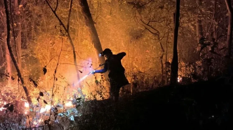 Lima Hektare Lahan Hutan Rakyat di Gunung Bancak Magetan Terbakar