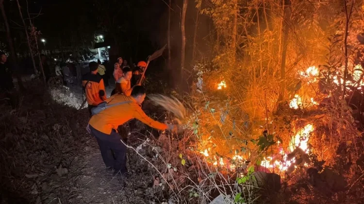 Kebakaran Gunung Bancak Magetan Dapat Dipadamkan Setelah Empat Jam Penanganan