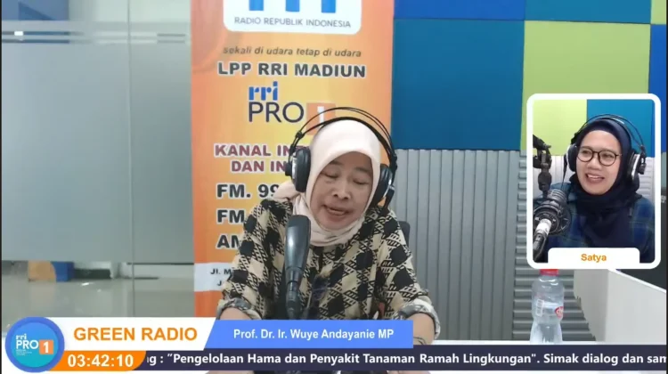 Kenali Perbedaan Hama dan Musuh Alami untuk Pertanian Berkelanjutan