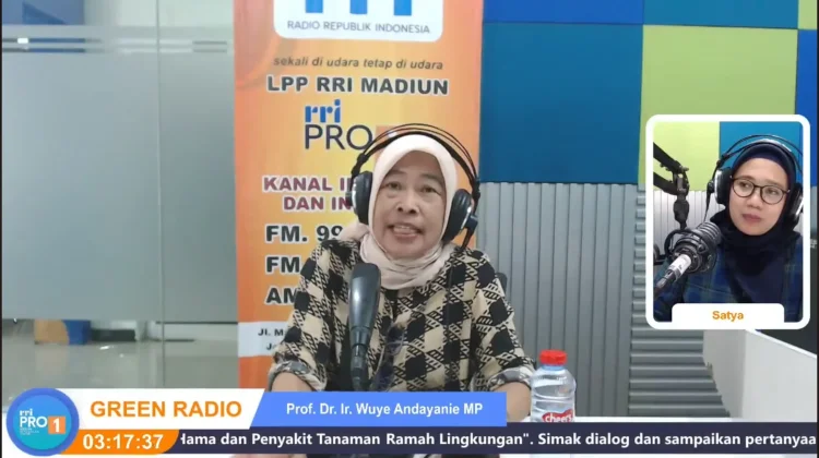 Monitoring Tanaman, Kunci Utama Sukses Pertanian Ramah Lingkungan