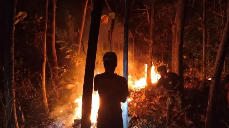 PDI Perjuangan Magetan Serukan Kader Bantu Penanganan Karhutla