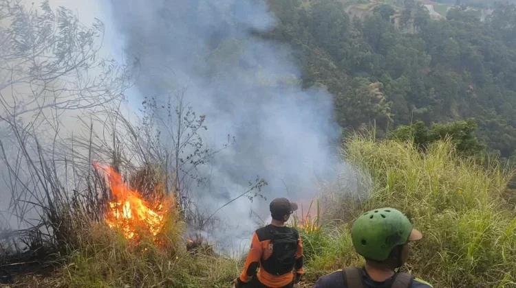 Meluas di 14 Kecamatan, Karhutla di Magetan Menuai Keprihatinan