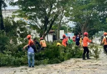Pemkab Ngawi Gelar Peta Seribu di Ruas Jalan Paron–Teguhan