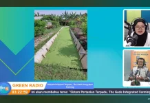 Manfaat Tanaman Azolla untuk Peternakan hingga Ketahanan Pangan