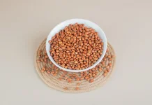 Kacang Lentil Sumber Protein Nabati yang Kaya Manfaat