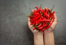 Cabai Pedas tapi Tubuh Sehat