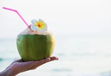 Air Kelapa: Hidrasi Alami Penyeimbang Cairan Tubuh