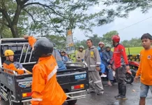 Pohon Tumbang di Jalur Magetan-Ngawi Sebabkan Korban Jiwa