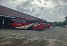 Jamin Keselamatan Masyarakat, Dishub Pacitan Lakukan Ramp Check Angkutan Berkala