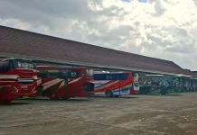 Cegah Penumpukan Penumpang, Bus Non-Trayek Diizinkan Beroperasi