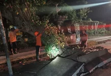 BPBD Kota Madiun Tuntaskan Evakuasi Pohon Tumbang di Kelun