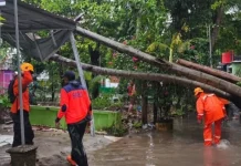 Sebulan, BPBD Ponorogo Catat 36 Kejadian Bencana