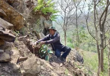 Rimba Loreng Ponorogo Lakukan Penghijauan untuk Selamatkan Sumber Mata Air