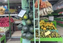 Ahli Gizi Anjurkan Konsumsi Buah Berkadar Air Tinggi saat Puasa
