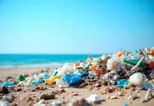 Mikroplastik: Lebih Berbahaya dari Plastik Biasa