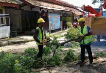 DLH Ponorogo Lakukan Pemangkasan Dahan, Ini Lokasinya