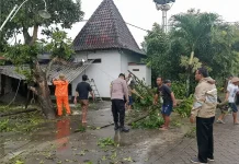 Petugas Gabungan Bantu Warga Terdampak Bencana Puting Beliung di Semen