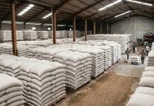 Stok Melimpah, Distribusi Beras hingga Luar Daerah