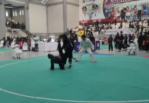 Ratusan Peserta Ikuti Kejuaraan Pencak Silat Ngawi Championship 2026