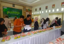 Festival Pamelo Magetan Dorong Semangat Petani dan Penguatan Pariwisata Daerah