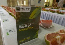 Pamelo Magetan Perkuat Citra Komoditas Unggulan Daerah, Ini para Pemenangnya