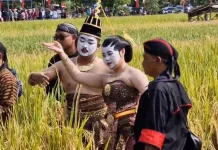Methik Pari, Tradisi Masyarakat Desa Glinggang Ponorogo jelang Panen Raya
