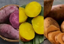 Manfaat Makan Ubi Jalar untuk Kesehatan