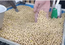 Kenaikan Harga Berbagai Kebutuhan Pokok Tekan Daya Beli Masyarakat