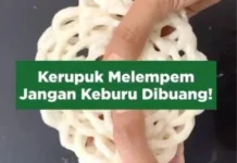 Cara Mengembalikan Kerupuk Lempem Menjadi Renyah Kembali