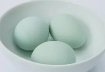 Manfaat Telur Bebek bagi Kesehatan