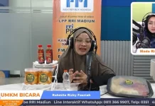 Asam yang Menguntungkan: Kisah UMKM Asinan Kuah Lemon Menembus Pasar