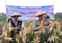 Polres Madiun Gelar Panen Raya Jagung Serentak Kuartal II 2026