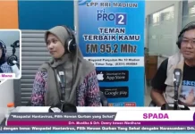 Hati Hewan Kurban Cacingan, Apakah Dagingnya Aman Dikonsumsi? Ini Kata Dokter Hewan