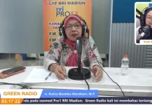 P2L Dorong Ketahanan Pangan Keluarga dari Pekarangan Rumah Sederhana!