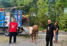 PDI Perjuangan Magetan Sembelih 4 Sapi dan 15 Kambing saat Iduladha 2026