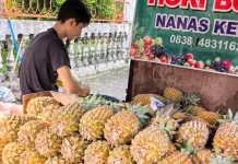 Berkah Idul Adha, Penjual Nanas Kebanjiran Pembeli
